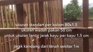 Tinggi lantai kandang sekitar 1 hingga 2. Kandangrukunmulya Kandang Kambing Modern Ramah Lingkungan à¸›à¸£à¸°à¹€à¸—à¸¨à¹„à¸—à¸¢ Vlip Lv