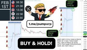 The xrp bully also stressed that there can be no value in just price performance: 10 000 Followers Within An Hour What Will Telegram Group Pump Feb 1