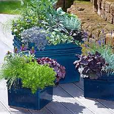 Edle Herbstromantik Auf Balkon Und Terrasse Unkraut Vernichten Pflanzen Garten