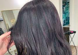 Violet find the right dark violet hair color shade for you. 25 Dark Purple Hair Color Ideas