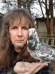 This pigeon visits a Toronto man in his backyard nearly every day