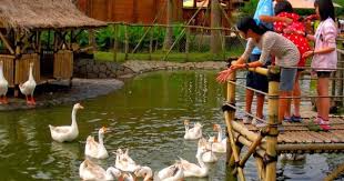 Floating Market Lemband Bandung Indonesia Indonesia Berjalan Paris
