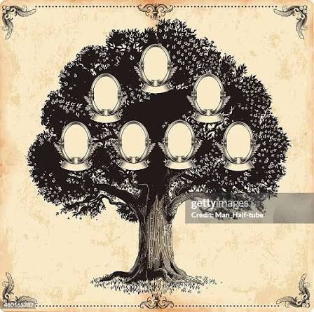 702 Family Tree Illustrations - Getty Images