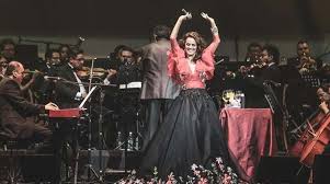 She was born in mexico. Edith Marquez Tengo La Edad Y Madurez Suficiente Para Decir Ciertas Cosas Los Tiempos