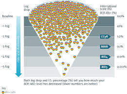 International Standardisation I S Of Test Results Cml