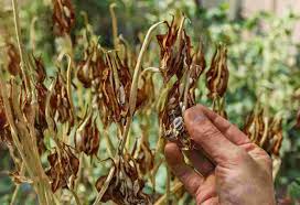 Effective's Blog - エキサイトブログ