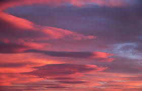 We did not find results for: Sky Cloudy Sky During Orange Sunset Cloud Image Free Stock Photo