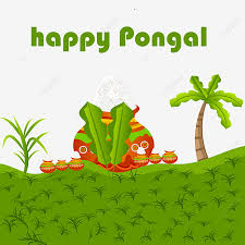 All our images are transparent and free for personal use. Happy Pongal 2021 Vector And Png Clebrate Pongal Happy Png And Vector With Transparent Background For Free Download