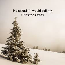 Christmas Trees By Robert Frost Robertfrost Christmastrees Christmas Christmasquotes Christmaspoetry Poetry Christmas Poetry Christmas Quotes Instagram