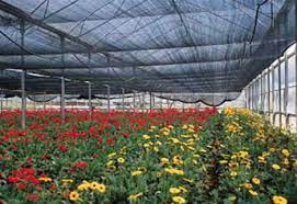 Extendable kids catcher net butterfly net fish insect catcher telescopic catching bugs mesh net with anti slip grip fishing toy. Outdoor Garden Sun Shade Netting Shade Nets For Gardens Greenhouse Shade Cloth Horticultural Netting Butterfly Netting Waterproof Shade Sails Car Sh China Shade Netting Shade Sails Made In China Com