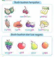 Selain itu ada juga buah huckleberry yang berasal dari kawasan amerika utara. Jenis Jenis Buah Buahan Tempatan