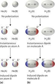 12 6 Types Of Intermolecular Forces Dispersion Dipole Dipole Hydrogen Bonding And Ion Dipole Chemistry Libretexts