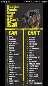 Pin By Lara Jephson On Stella Potato Skins Bluberries Food Dogs Cant Eat
