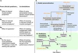 Nuvid is the phenomenon of modern pornography. Frontiers Physics Based Simulations To Predict The Differential Effects Of Motor Control And Musculoskeletal Deficits On Gait Dysfunction In Cerebral Palsy A Retrospective Case Study Human Neuroscience