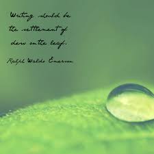 Quotes Knowledge And Wisdom Poetry Reading Words