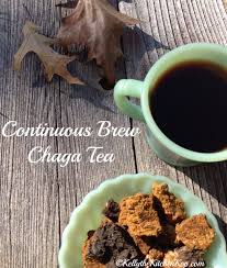It grows on a variety of trees, but is mainly found on white and. 15 Best Chaga Tea Recipes Ideas Chaga Tea Chaga Tea Recipes Chaga