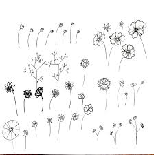 Image Result For Botanical Line Drawing Flowers Botanical Line Drawing Flower Drawing Flower Doodles