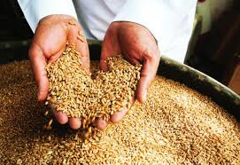 سمو أمير منطقة نجران يستقبل مدير مكتب وزارة الرياضة بالمنطقة وإدارة نادي الأخدود. Ø§Ù‡Ù… Ø§Ù„Ù…Ø­Ø§ØµÙŠÙ„ Ø§Ù„Ø²Ø±Ø§Ø¹ÙŠØ© ÙÙŠ Ù†Ø¬Ø±Ø§Ù† Ø§Ù„Ù…Ø±Ø³Ø§Ù„