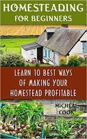 Robot Check Backyard Farming Homesteading Homestead For Beginners