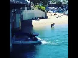 Kid Jumping Off Bridge Onto Boat Youtube