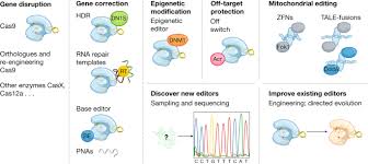 The vision wellness exam or the medical eye encounter. The Nih Somatic Cell Genome Editing Program Nature
