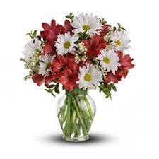 When you send flowers to australia from the uk, please make sure that your order is placed before 9pm in order to ensure next day delivery. 14 Send Christmas Flowers Online To Australia Ideas Christmas Flowers Flowers Online Flowers Australia
