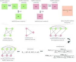 This enables users to test a suite of innovate functions developed by the fusion foundation. Heterogeneous Graph Inference Based On Similarity Network Fusion For Predicting Lncrna Mirna Interaction Rsc Advances Rsc Publishing Doi 10 1039 C9ra11043g