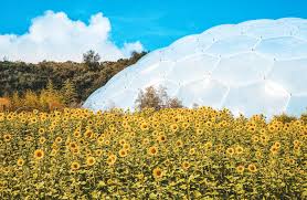 The biomes received almost two million visitors in their first year of opening, and the project is now one of the top three charging attractions in the uk and the second. Eden Project