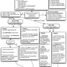 .algorithm is classified as a basic life support (bls) algorithm, it is undoubtedly an algorithm you need to be familiar with in order to pass your advanced cardiac life support (acls) exam. Tachycardia With Information From The Acls Algorithm For Tachycardia Download Scientific Diagram