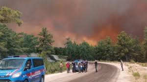 Yerleşim yerleri için risk oluşturan alevler rüzgarın etkisiyle hızlı bir şekilde yayıldı. 6mjbwihwol Aqm