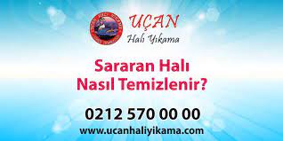 Sararan Hali Nasil Temizlenir Cozuldu Ucan Hali Yikama