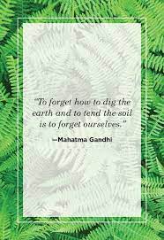 58 Best Nature Quotes Inspirational Sayings About Nature