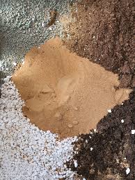Fill container to 1/3 full with cactus potting soil mix. Cactus And Succulent Soil Mix For Dubai S Climate Includes Recipe Ivy S Secret Garden