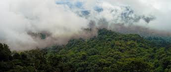 Wir haben eine liste der am häufigsten gestellten fragen unserer nutzer zusammengestellt, wie zum beispiel. Wasserkreislauf Im Amazonas Mit Globalen Auswirkungen Amazonas De