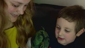 Monumental': Franklin stem cell therapy shows promise in autistic children