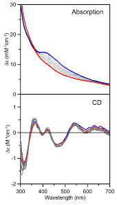 Program farmacia tei paște 2019. Ijms Free Full Text The Arabidopsis Mitochondrial Glutaredoxin Grxs15 Provides 2fe 2s Clusters For Isca Mediated 4fe 4s Cluster Maturation Html