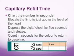 Bedside Pediatric Early Warning System