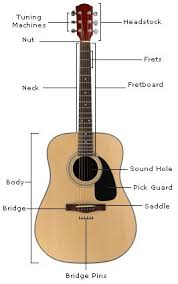 The #1 secret to learning chords quickly. Acoustic Guitar Anatomy Guitar Classical Guitar Acoustic Guitar Chords