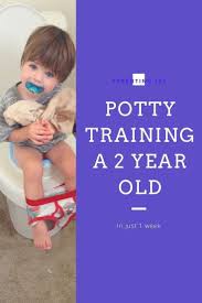 Potty Training A 2 Year Old 40 Little Toes By Ana Najera Toddler Potty Training Potty Training Girls Potty Training Boys
