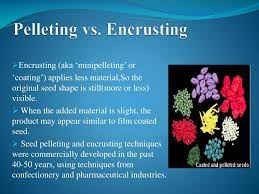 Pelleting seeds in a coating pan or tumbling drum. Ppt Seed Enhancement Definition Powerpoint Presentation Free Download Id 1886065
