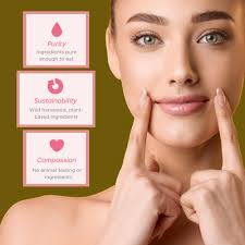 Amazon.com : Ellovi Natural Lip Butter Lip Balm