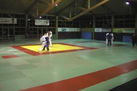 Unser team hat eine riesige auswahl an hersteller & marken analysiert und wir zeigen ihnen als leser hier unsere resultate unseres. Foeldeak Judomatten Tatami