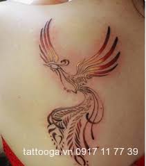 Check spelling or type a new query. Hinh XÄƒm PhÆ°á»£ng Hoang Nhá» Tattoo Ga