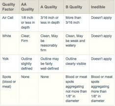 Grading Of Eggs Egg Grades And Much More Discover Food Tech