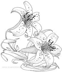 Artesanato Virtual Tecnicas De Artesanato Dicas Para Artesanato Passo A Passo Flores Para Colorir Coisas Para Desenhar Coloracao Adulta