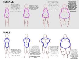 How To Draw Body Shapes 30 Tutorials For Beginners Bored Art I'll let you know when you can sign up and i'm allowed to announce it. how to draw body shapes 30 tutorials