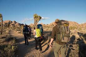 Wilderness Backpacking Joshua Tree National Park U S National Park Service