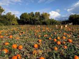 Image result for tbn:0PJB32OL7JwfOM::farm4.static.flickr.com/3324/3329876139_f2d551139f.jpg