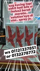 Ha, ada lagi beberapa cara boleh anda cuba bagi menghalang kucing daripada membuang di kawasan rumah kita. Petua Elak Kucing Berak Cats And Dogs Repellent Facebook
