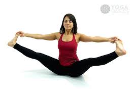 Upright Seated Angle Seated Yoga For Balance Basic Yoga